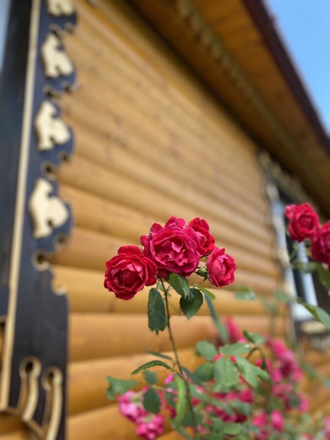 Загородные дома Zatishna Khata Синевир-5
