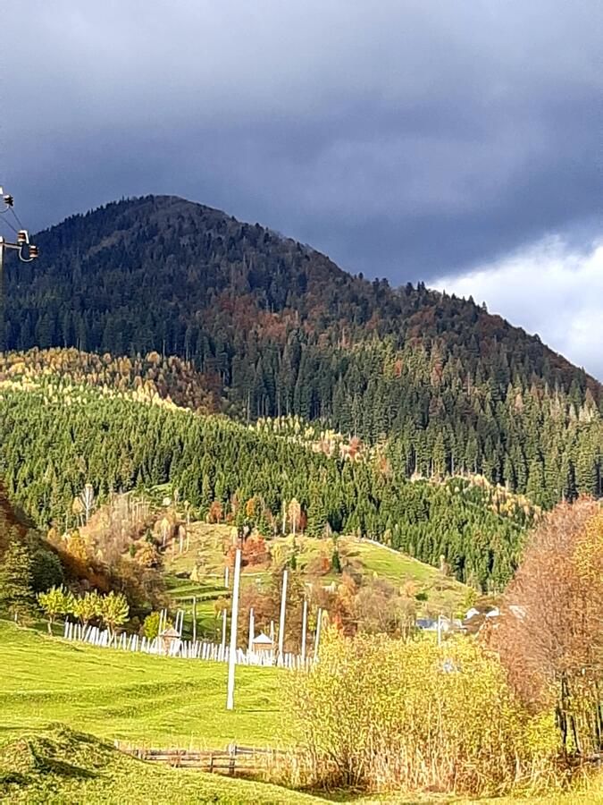 Загородные дома Zatishna Khata Синевир-31