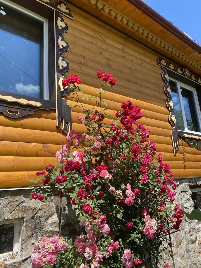Загородные дома Zatishna Khata Синевир-8